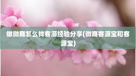 做微商怎么找客源经验分享(微商客源宝和客源宝)