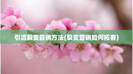 引流裂变营销方法(裂变营销如何拓客)