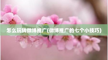 怎么玩转微博推广(微博推广的七个小技巧)