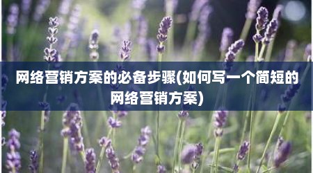 网络营销方案的必备步骤(如何写一个简短的网络营销方案)