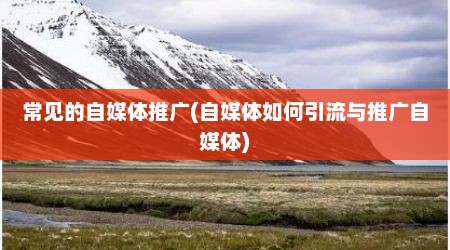 常见的自媒体推广(自媒体如何引流与推广自媒体)