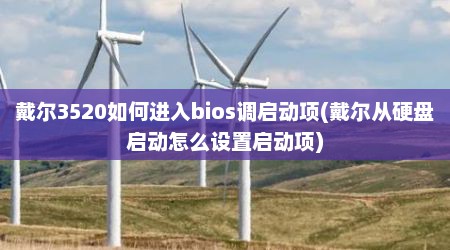 戴尔3520如何进入bios调启动项(戴尔从硬盘启动怎么设置启动项)