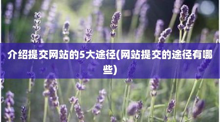 介绍提交网站的5大途径(网站提交的途径有哪些)