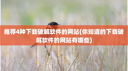 推荐4种下载破解软件的网站(你知道的下载破解软件的网站有哪些)