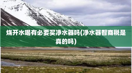 烧开水喝有必要买净水器吗(净水器智商税是真的吗)