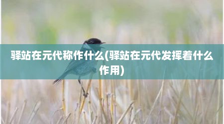 驿站在元代称作什么(驿站在元代发挥着什么作用)
