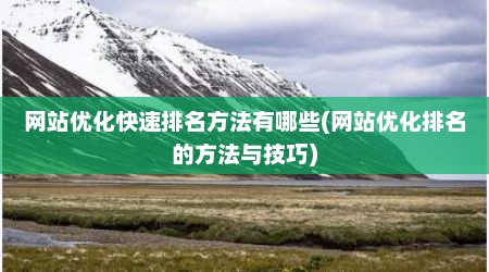 网站优化快速排名方法有哪些(网站优化排名的方法与技巧)