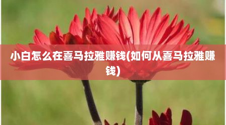 小白怎么在喜马拉雅赚钱(如何从喜马拉雅赚钱)
