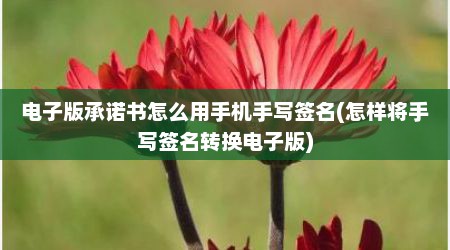 电子版承诺书怎么用手机手写签名(怎样将手写签名转换电子版)