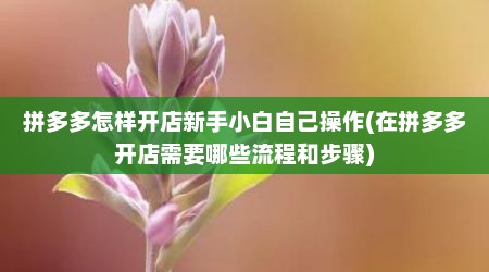 拼多多怎样开店新手小白自己操作(在拼多多开店需要哪些流程和步骤)