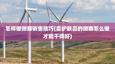 怎样做微商销售技巧(卖护肤品的微商怎么做才能干得好)