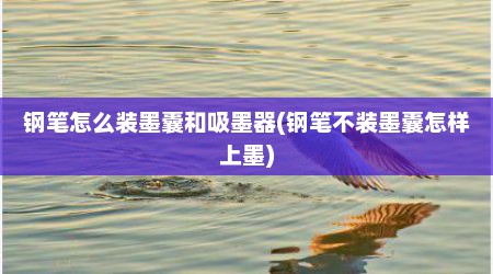 钢笔怎么装墨囊和吸墨器(钢笔不装墨囊怎样上墨)