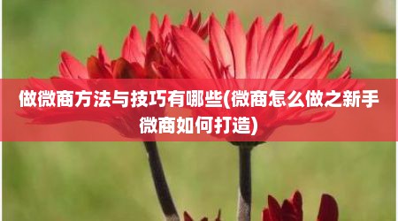 做微商方法与技巧有哪些(微商怎么做之新手微商如何打造)