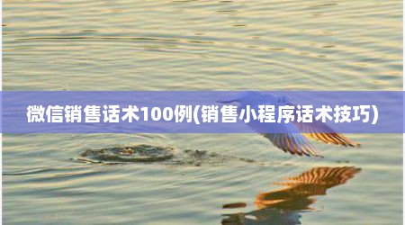 微信销售话术100例(销售小程序话术技巧)
