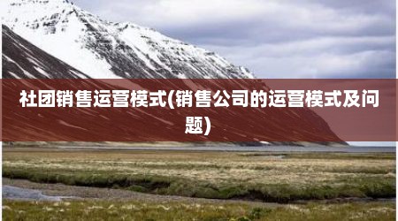 社团销售运营模式(销售公司的运营模式及问题)