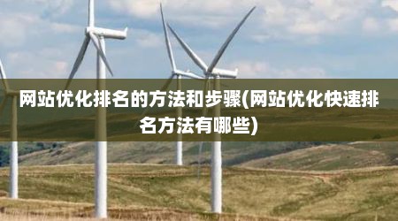 网站优化排名的方法和步骤(网站优化快速排名方法有哪些)