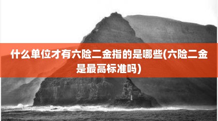 什么单位才有六险二金指的是哪些(六险二金是最高标准吗)