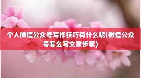 个人微信公众号写作技巧有什么呢(微信公众号怎么写文章步骤)