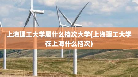 上海理工大学属什么档次大学(上海理工大学在上海什么档次)