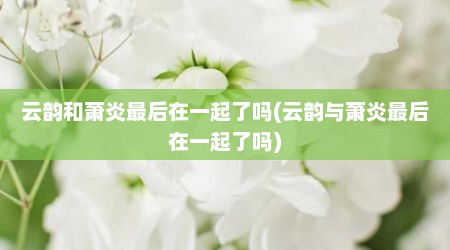 云韵和萧炎最后在一起了吗(云韵与萧炎最后在一起了吗)
