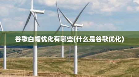 谷歌白帽优化有哪些(什么是谷歌优化)