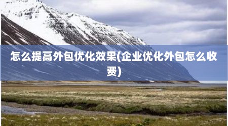 怎么提高外包优化效果(企业优化外包怎么收费)