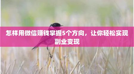 怎样用微信赚钱掌握5个方向，让你轻松实现副业变现