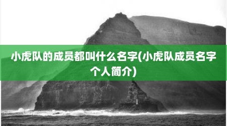 小虎队的成员都叫什么名字(小虎队成员名字个人简介)