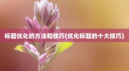 标题优化的方法和技巧(优化标题的十大技巧)