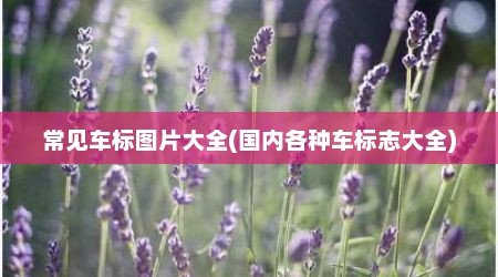 常见车标图片大全(国内各种车标志大全)