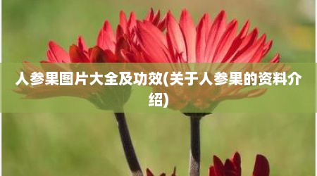 人参果图片大全及功效(关于人参果的资料介绍)