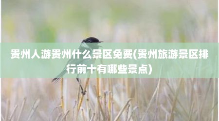 贵州人游贵州什么景区免费(贵州旅游景区排行前十有哪些景点)