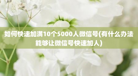 如何快速加满10个5000人微信号(有什么办法能够让微信号快速加人)