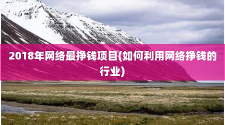 2018年网络最挣钱项目(如何利用网络挣钱的行业)