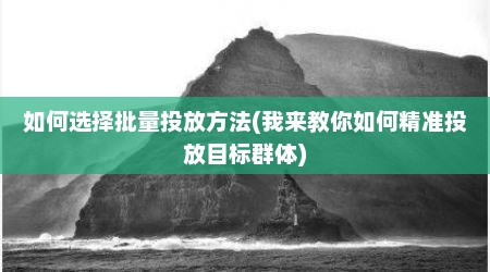 如何选择批量投放方法(我来教你如何精准投放目标群体)