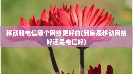 移动和电信哪个网络更好的(到底是移动网络好还是电信好)