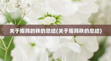 关于矩阵的秩的总结(关于矩阵秩的总结)
