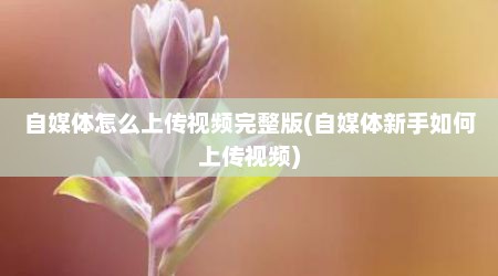 自媒体怎么上传视频完整版(自媒体新手如何上传视频)