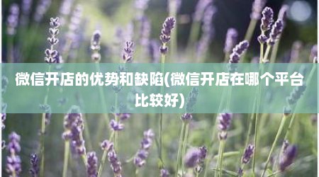 微信开店的优势和缺陷(微信开店在哪个平台比较好)