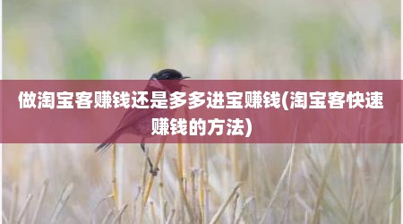 做淘宝客赚钱还是多多进宝赚钱(淘宝客快速赚钱的方法)