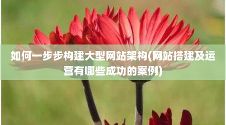 如何一步步构建大型网站架构(网站搭建及运营有哪些成功的案例)