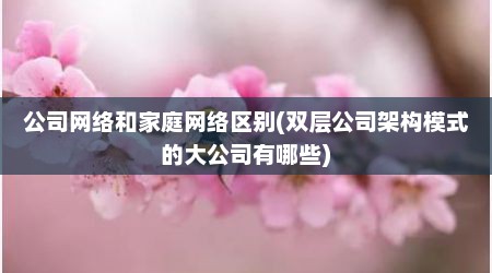 公司网络和家庭网络区别(双层公司架构模式的大公司有哪些)
