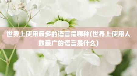 世界上使用最多的语言是哪种(世界上使用人数最广的语言是什么)