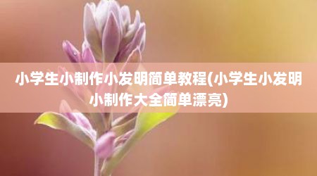 小学生小制作小发明简单教程(小学生小发明小制作大全简单漂亮)
