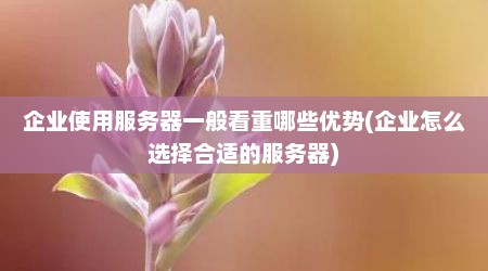 企业使用服务器一般看重哪些优势(企业怎么选择合适的服务器)
