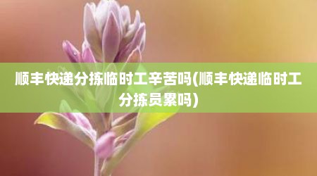 顺丰快递分拣临时工辛苦吗(顺丰快递临时工分拣员累吗)