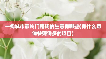 一线城市最冷门赚钱的生意有哪些(有什么赚钱快赚钱多的项目)