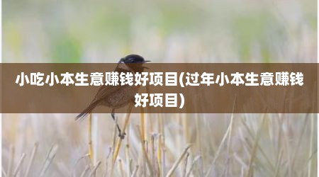 小吃小本生意赚钱好项目(过年小本生意赚钱好项目)