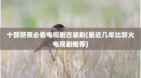 十部熬夜必看电视剧古装剧(最近几年比较火电视剧推荐)