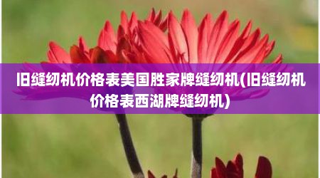 旧缝纫机价格表美国胜家牌缝纫机(旧缝纫机价格表西湖牌缝纫机)